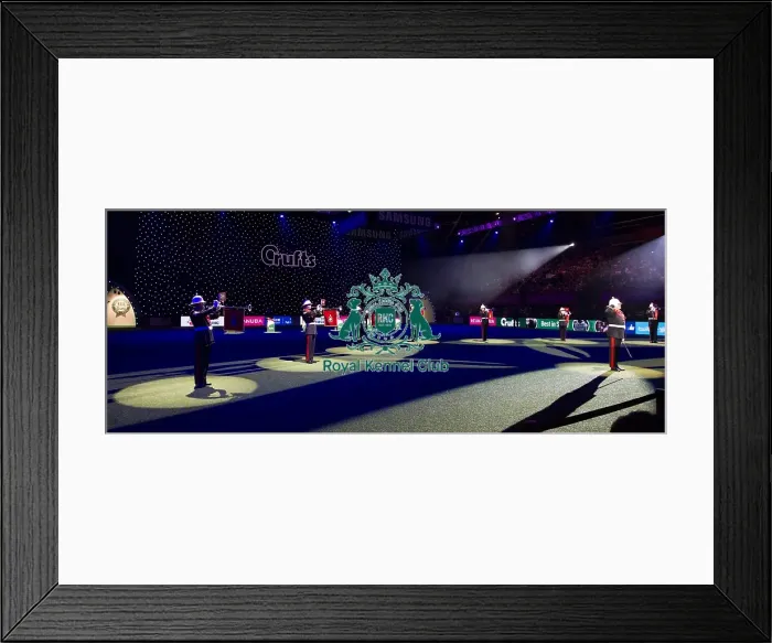Framed Print : Best in Show, Crufts 2016 Framed Print : Best in Show, Crufts 2016