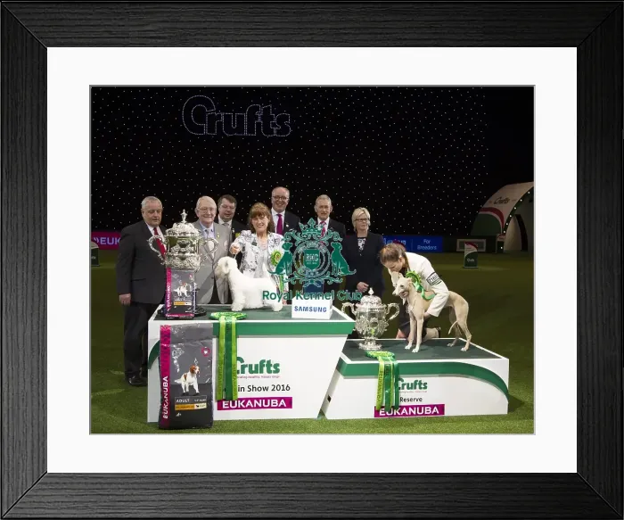 Framed Print : Best in Show, Crufts 2016 Framed Print : Best in Show, Crufts 2016