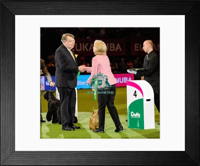 Framed Print : Crufts 2016 Framed Print : Crufts 2016