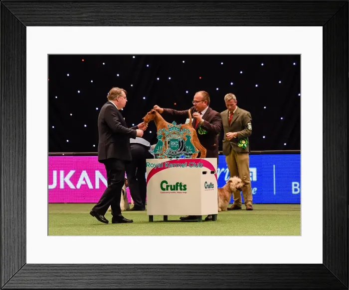 Framed Print : Crufts 2016 Framed Print : Crufts 2016
