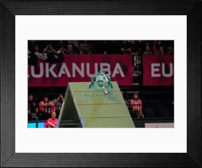 Framed Print : Crufts 2016 Framed Print : Crufts 2016