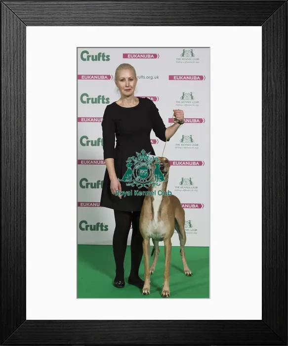 Framed Print : Crufts 2016 Best of Breed Framed Print : Crufts 2016 Best of Breed