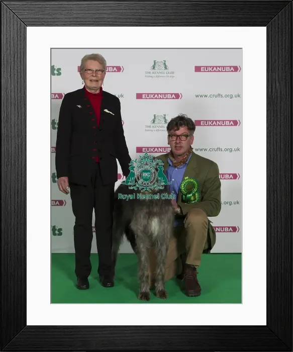 Framed Print : Crufts 2016 Best of Breed Framed Print : Crufts 2016 Best of Breed