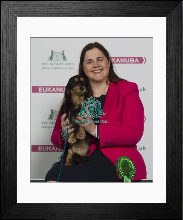Framed Print : Crufts 2016 Best of Breed