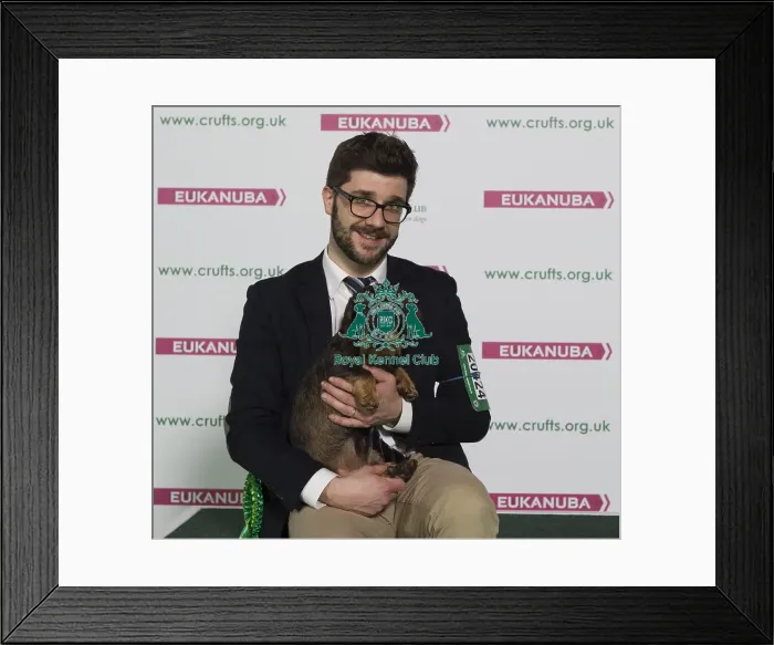Framed Print : Crufts 2016 Best of Breed Framed Print : Crufts 2016 Best of Breed