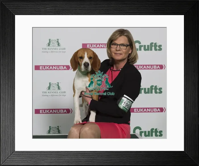 Framed Print : Crufts 2016 Best of Breed Framed Print : Crufts 2016 Best of Breed