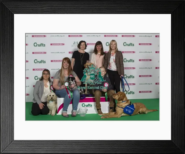Framed Print : Crufts 2016 Best of Breed Framed Print : Crufts 2016 Best of Breed