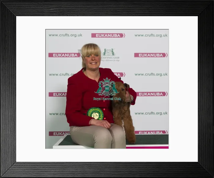 Framed Print : Crufts 2016 Best of Breed Framed Print : Crufts 2016 Best of Breed
