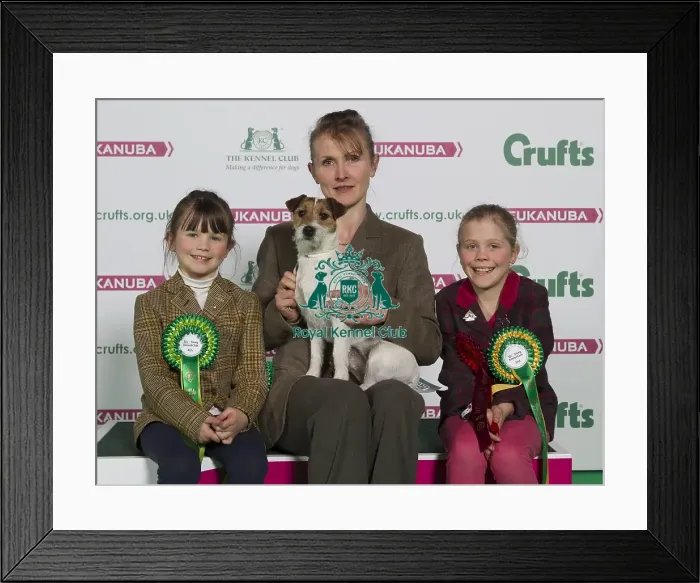 Framed Print : Crufts 2016 Best of Breed Framed Print : Crufts 2016 Best of Breed