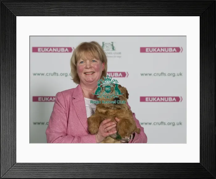 Framed Print : Crufts 2016 Best of Breed