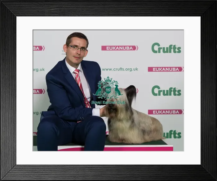 Framed Print : Crufts 2016 Best of Breed Framed Print : Crufts 2016 Best of Breed