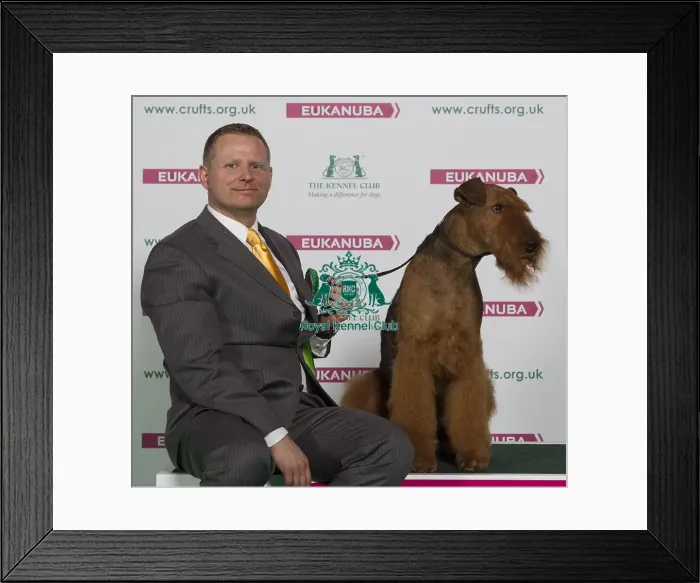 Framed Print : Crufts 2016 Best of Breed Framed Print : Crufts 2016 Best of Breed