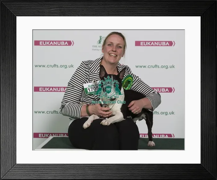 Framed Print : Crufts 2016 Best of Breed Framed Print : Crufts 2016 Best of Breed