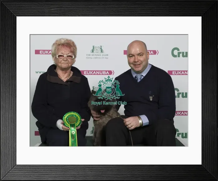 Framed Print : Crufts 2016 Best of Breed Framed Print : Crufts 2016 Best of Breed