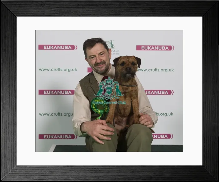 Framed Print : Crufts 2016 Best of Breed Framed Print : Crufts 2016 Best of Breed