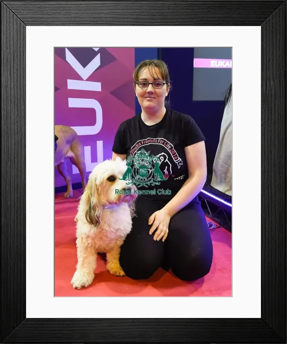 Framed Print : Crufts 2016 Framed Print : Crufts 2016