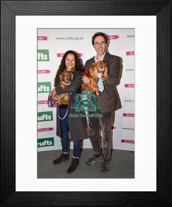 Framed Print : Crufts 2016