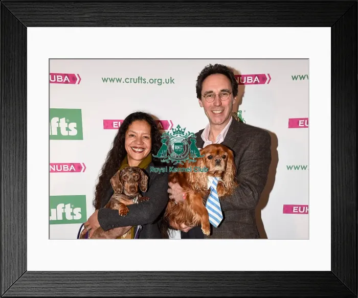 Framed Print : Crufts 2016 Framed Print : Crufts 2016