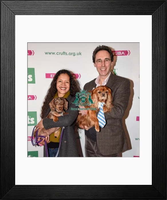 Framed Print : Crufts 2016 Framed Print : Crufts 2016