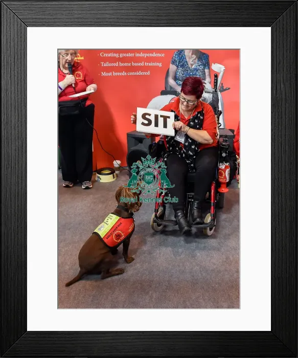 Framed Print : Crufts 2016 Framed Print : Crufts 2016