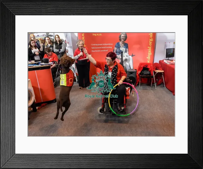 Framed Print : Crufts 2016 Framed Print : Crufts 2016