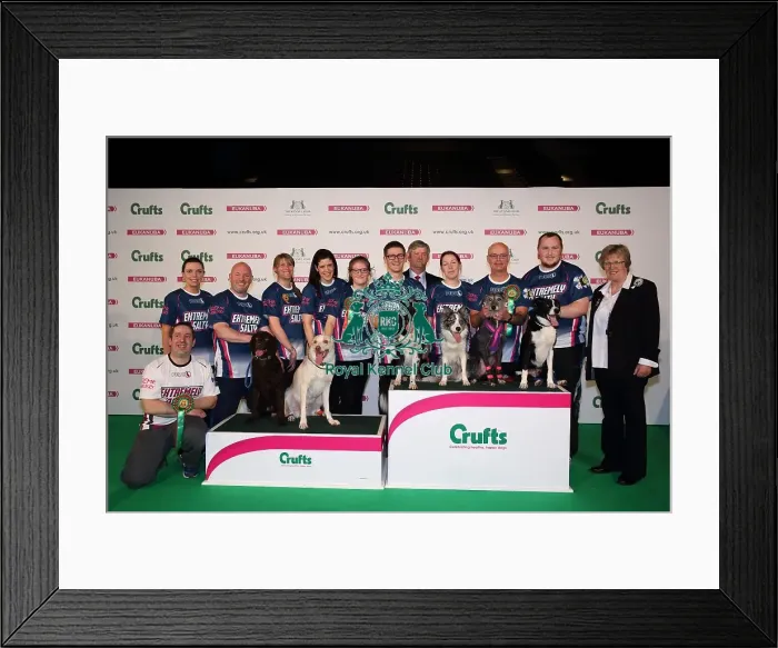 Framed Print : Crufts 2016 Framed Print : Crufts 2016