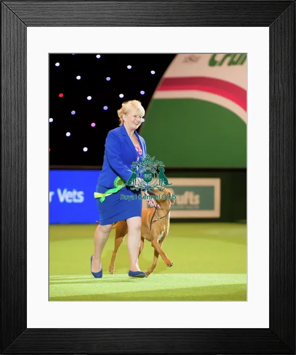 Framed Print : Hound Group