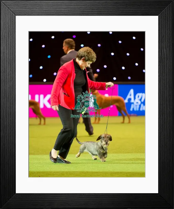 Framed Print : Hound Group Framed Print : Hound Group