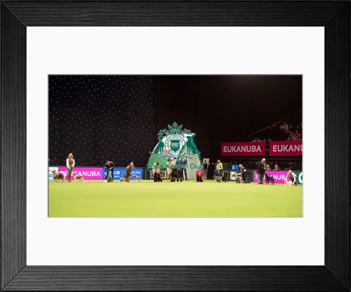 Framed Print : judging of Utility Group