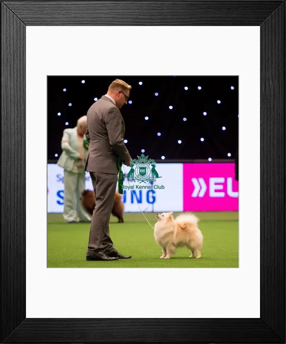 Framed Print : judging of Utility Group - winner