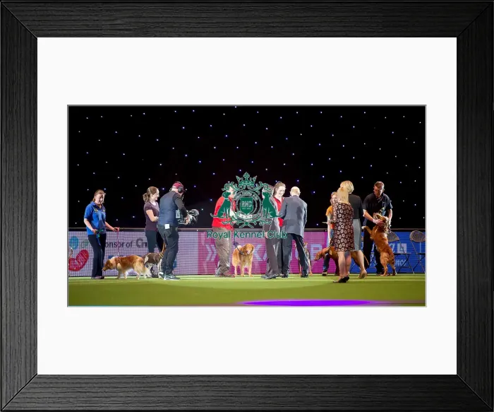 Framed Print : Large Novice and Medium ABC Final Framed Print : Large Novice and Medium ABC Final