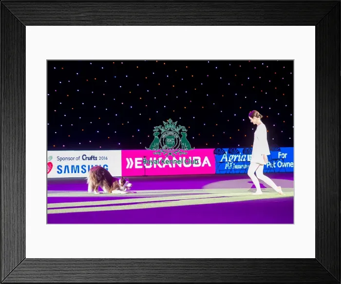Framed Print : Heelwork to Music - winner