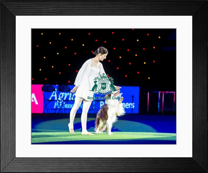 Framed Print : Heelwork to Music - winner Framed Print : Heelwork to Music - winner