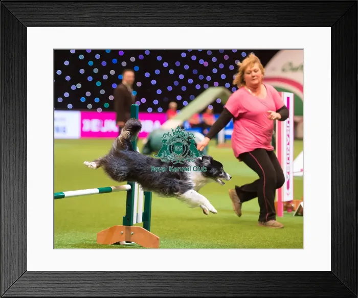 Framed Print : Large Novice and Medium ABC Final