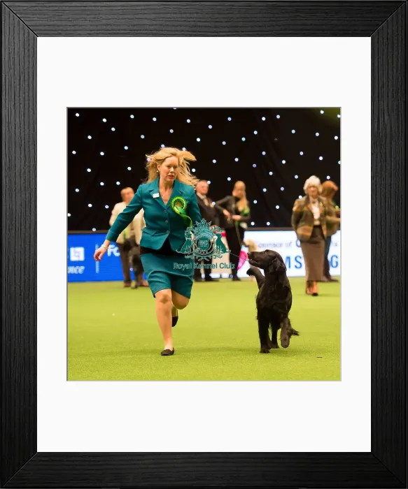Framed Print : Gundog Group Framed Print : Gundog Group