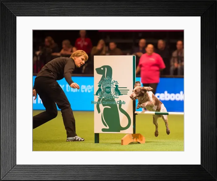 Framed Print : Agility Singles Heatss / M / L Framed Print : Agility Singles Heatss / M / L