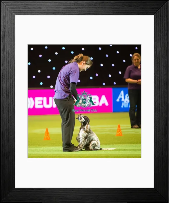Framed Print : Dog Activities Display Framed Print : Dog Activities Display