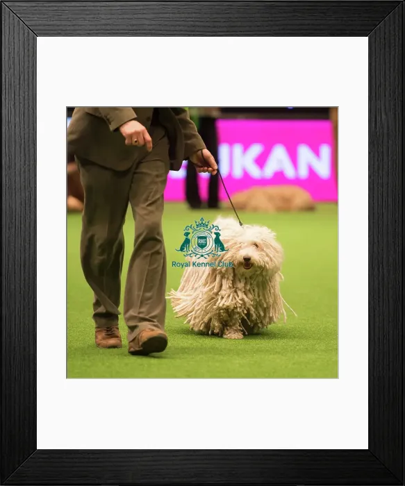 Framed Print : Pastoral Group