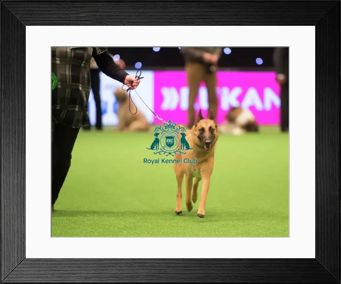 Framed Print : Pastoral Group Framed Print : Pastoral Group