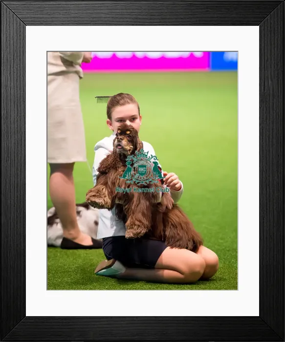 Framed Print : International Junior Handling Competition Framed Print : International Junior Handling Competition