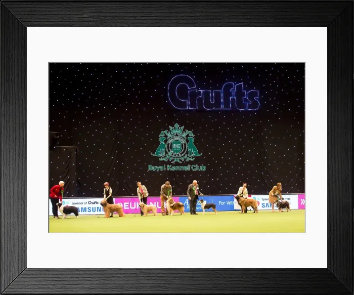 Framed Print : Pastoral Group judging