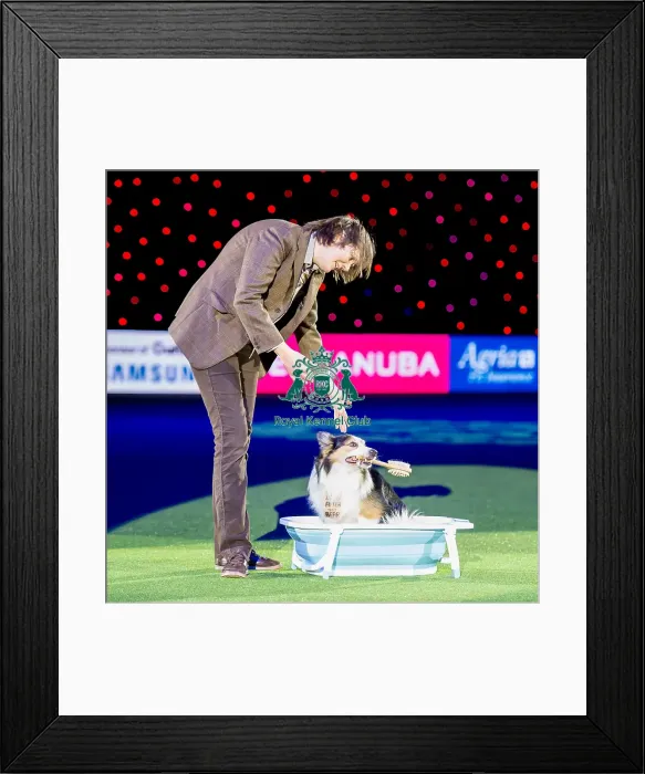 Framed Print : International Heelwork to Music - Freestyle competition Framed Print : International Heelwork to Music - Freestyle competition