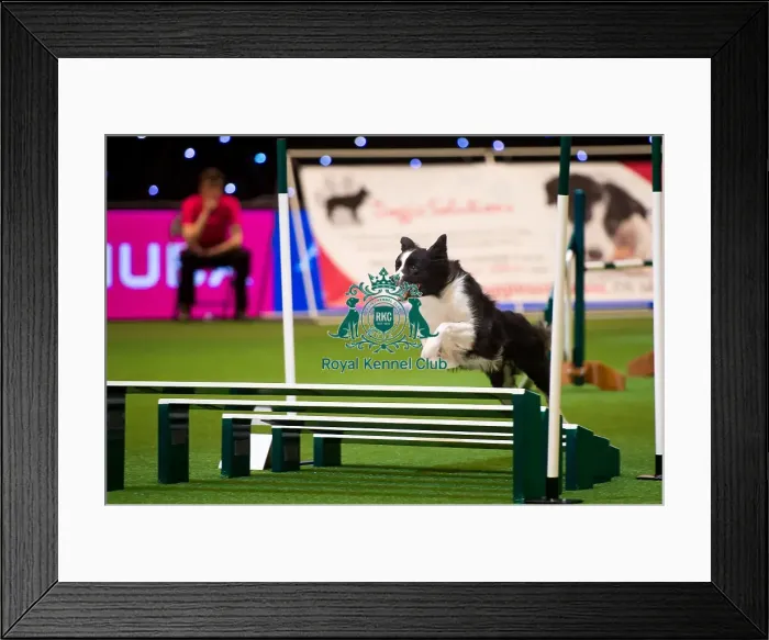 Framed Print : International Invitation - Large - Jumping Framed Print : International Invitation - Large - Jumping