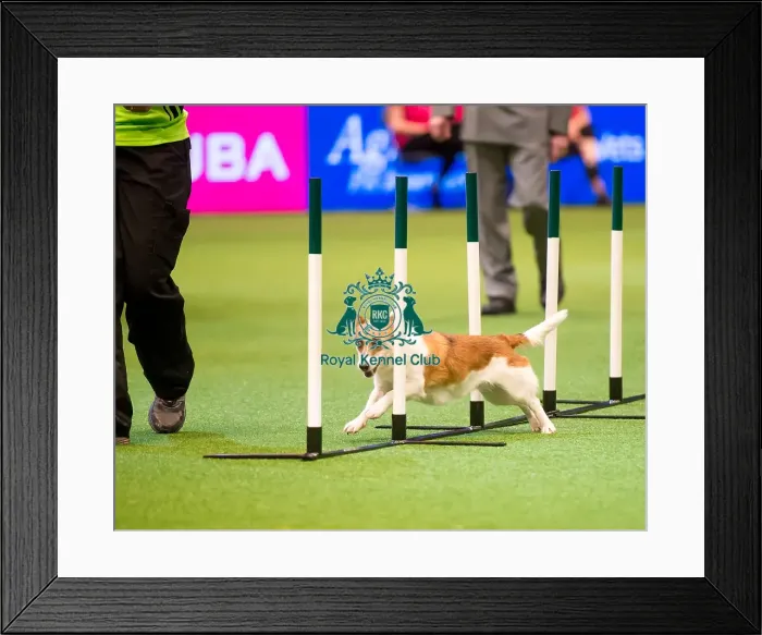 Framed Print : Agility teams - small