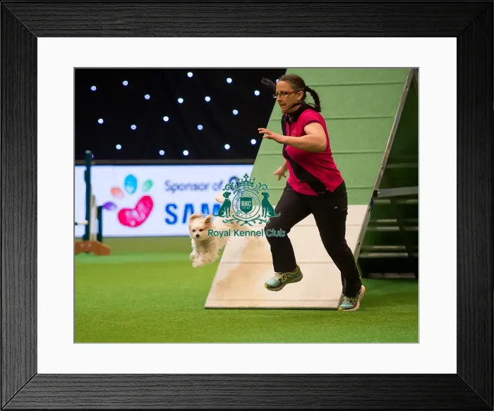 Framed Print : Agility teams - small Framed Print : Agility teams - small