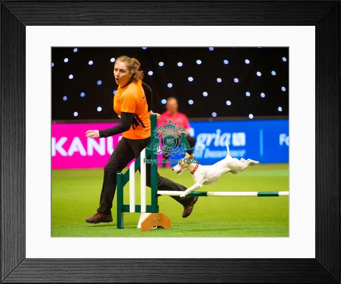 Framed Print : Agility teams - small Framed Print : Agility teams - small