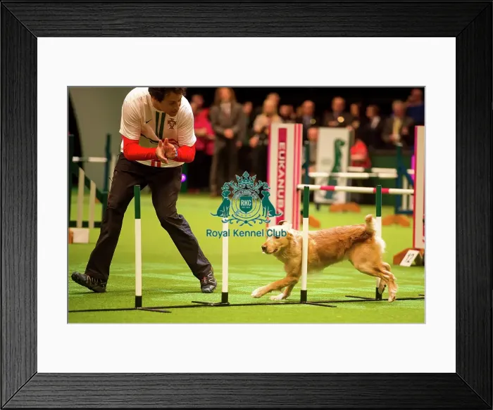 Framed Print : International Invitation - Large - Agility