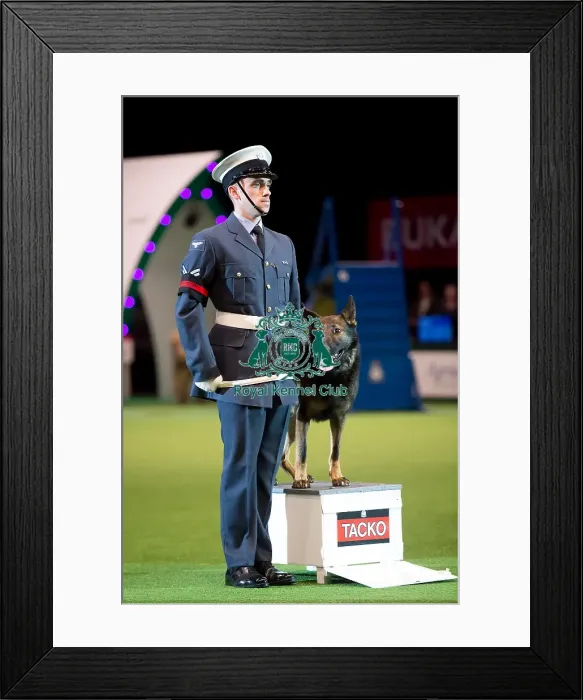 Framed Print : RAF display Framed Print : RAF display