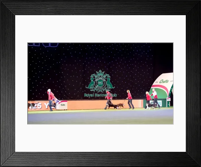 Framed Print : Presentation of award to Agility Large team World Champions