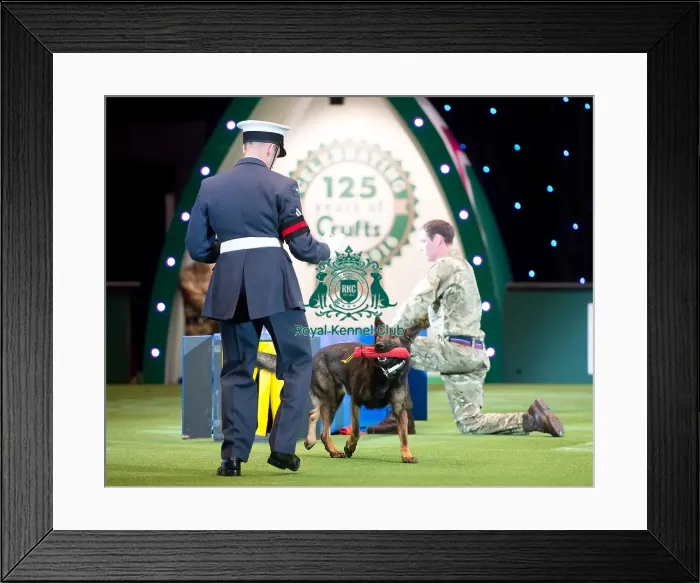 Framed Print : RAF display Framed Print : RAF display